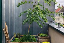 Aménager un petit balcon : 7 solutions pratiques pour 2026