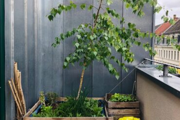 Aménager un petit balcon : 7 solutions pratiques pour 2026