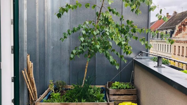 Aménager un petit balcon : 7 solutions pratiques pour 2026